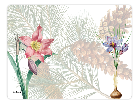 Winter Garden Rectangular Placemats, Set of 2 | Made in Sicily