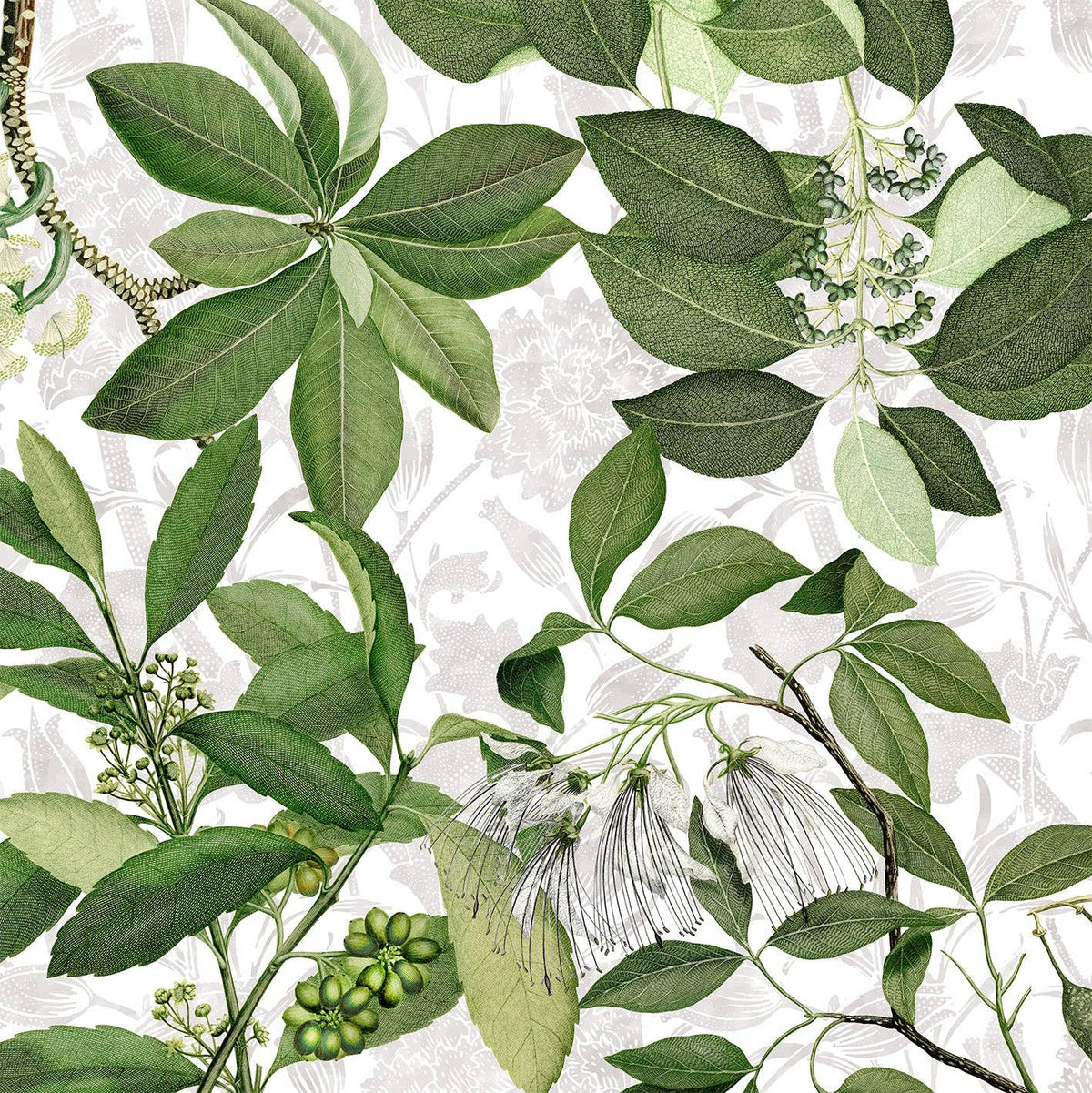 Tovaglia in Lino Premium Hedycarya