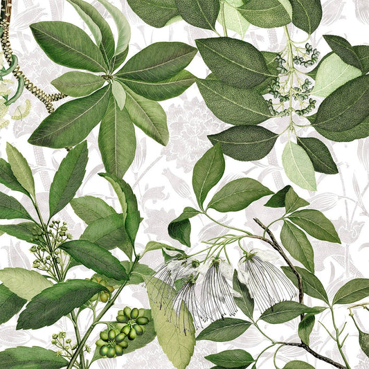 Hedycarya Premium Linen Tablecloth, White | Made in Sicily